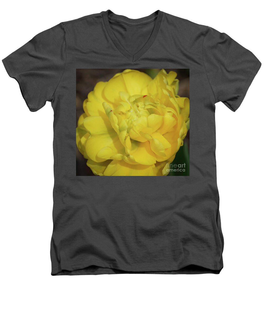 Flowers Men's V-Neck T-Shirt featuring the photograph Yellow Parrot Tulip by Cathy Donohoue