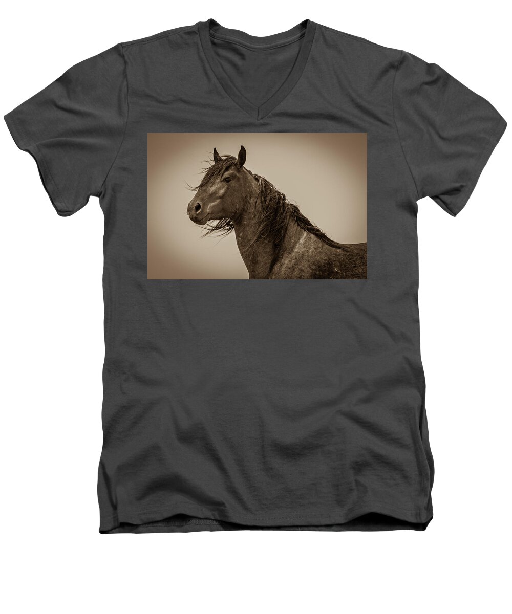 Horses Men's V-Neck T-Shirt featuring the photograph Proud #1 by Mary Hone