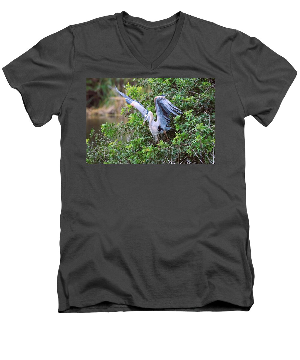 Great Blue Heron Men's V-Neck T-Shirt featuring the photograph The Workout  #1 by Michiale Schneider