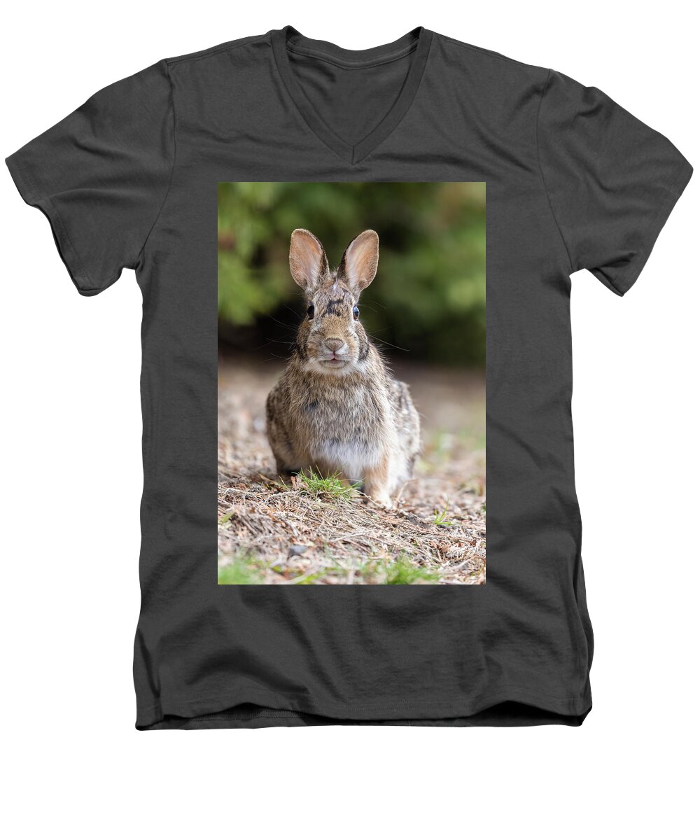 Small Men's V-Neck T-Shirt featuring the photograph What's Up, Doc? #1 by Mircea Costina Photography