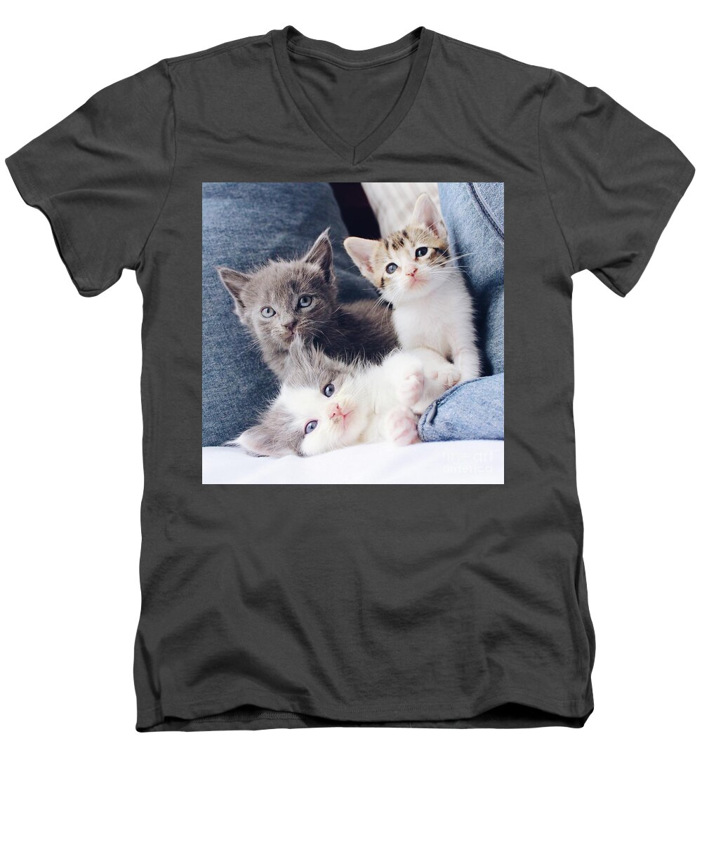 Sea Men's V-Neck T-Shirt featuring the photograph 3 Wise Kitties by Michael Graham