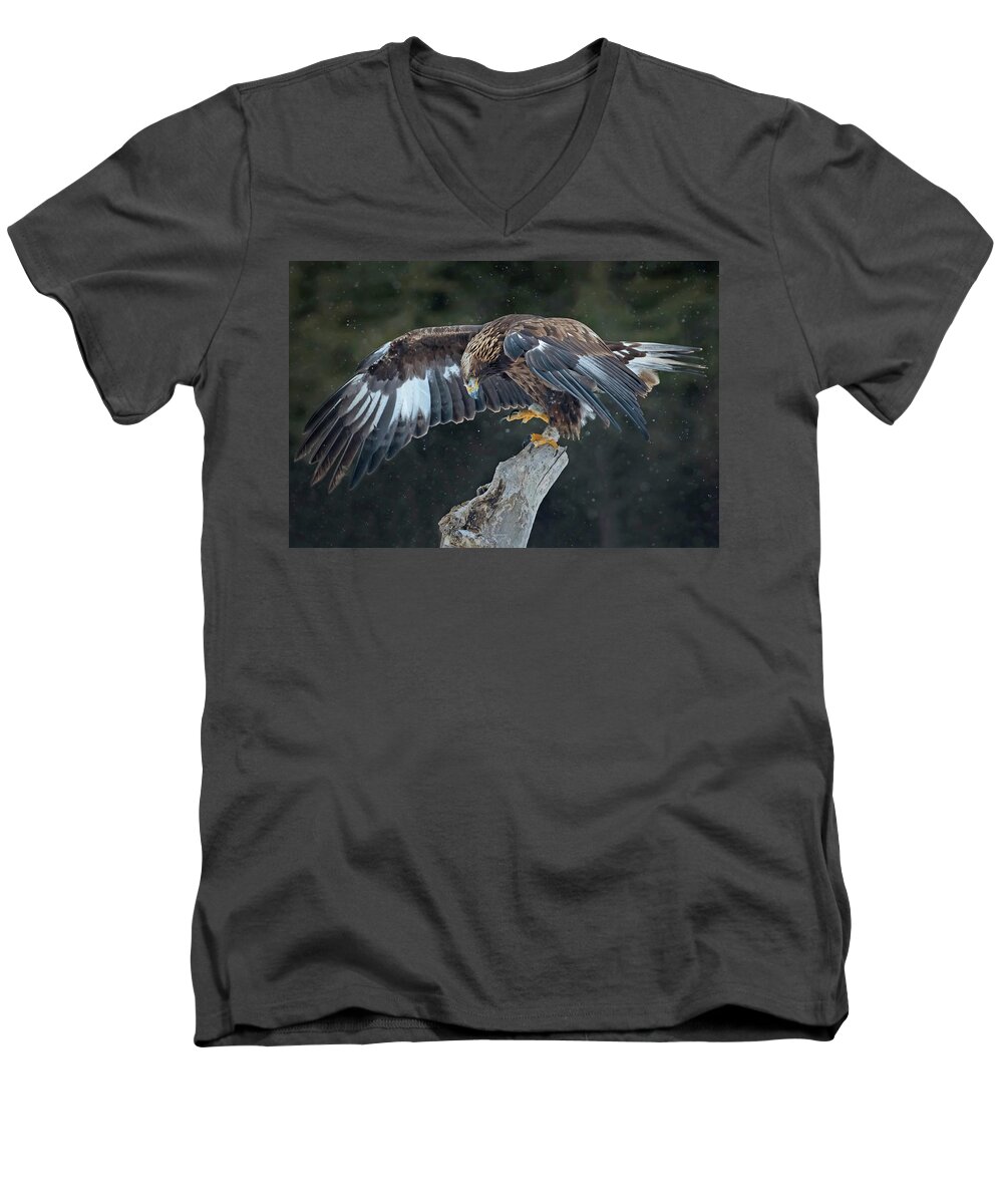 Eagle Men's V-Neck T-Shirt featuring the photograph Golden Eagle #4 by CR Courson