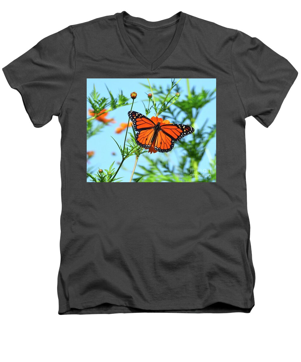 Monarch Men's V-Neck T-Shirt featuring the photograph A Monarch Butterfly by Scott Cameron