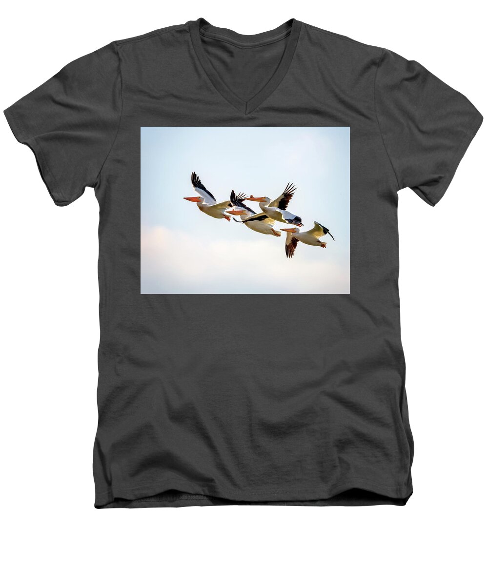 Bird Men's V-Neck T-Shirt featuring the photograph American White Pelicans by Al Mueller