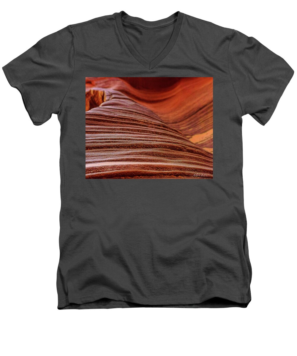 Landscape Men's V-Neck T-Shirt featuring the photograph Antilope Series 10 by Silvia Marcoschamer