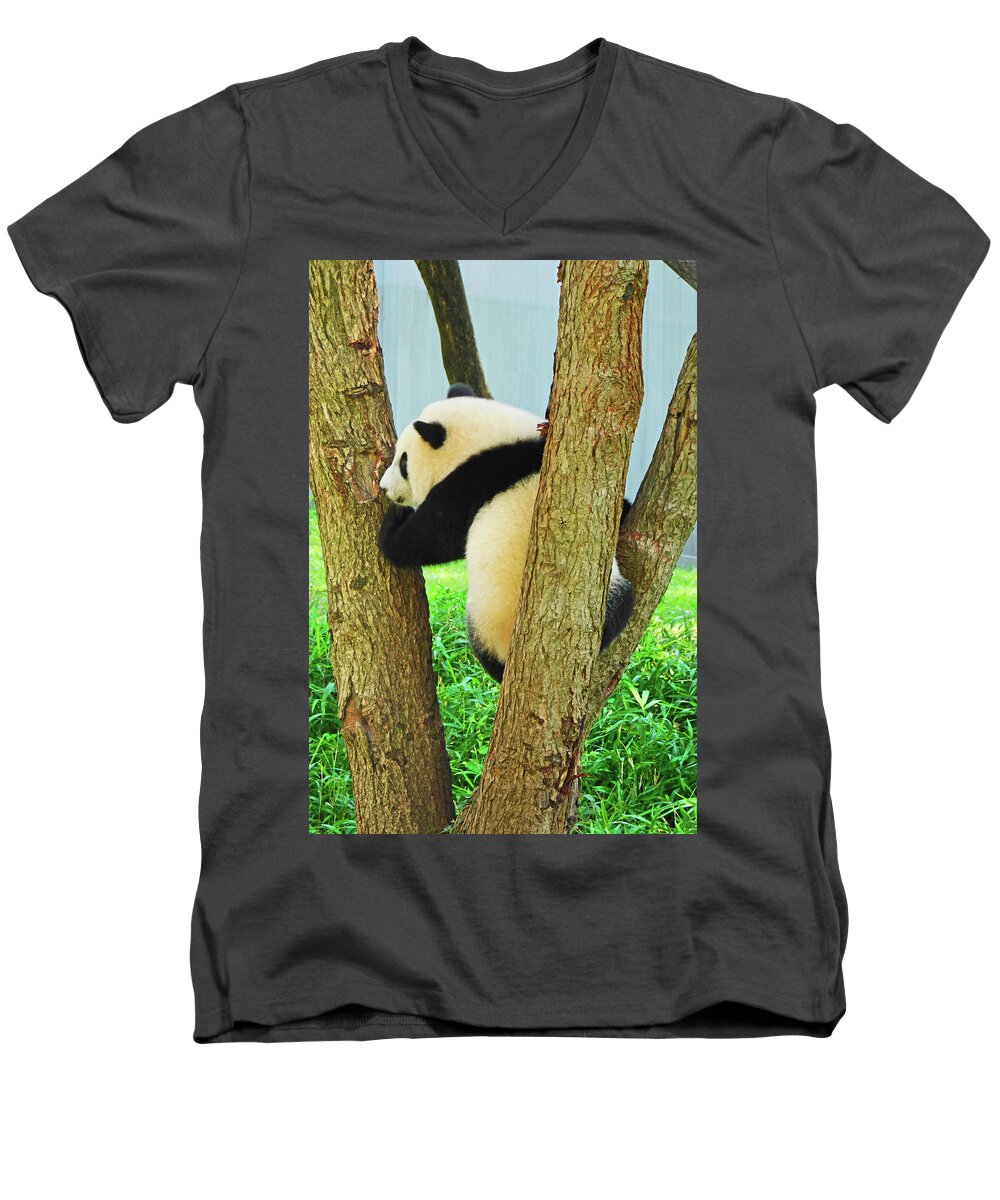 Pandas Men's V-Neck T-Shirt featuring the photograph Baby Panda Xiao Qi Ji Climbing A Tree by Emmy Marie Vickers