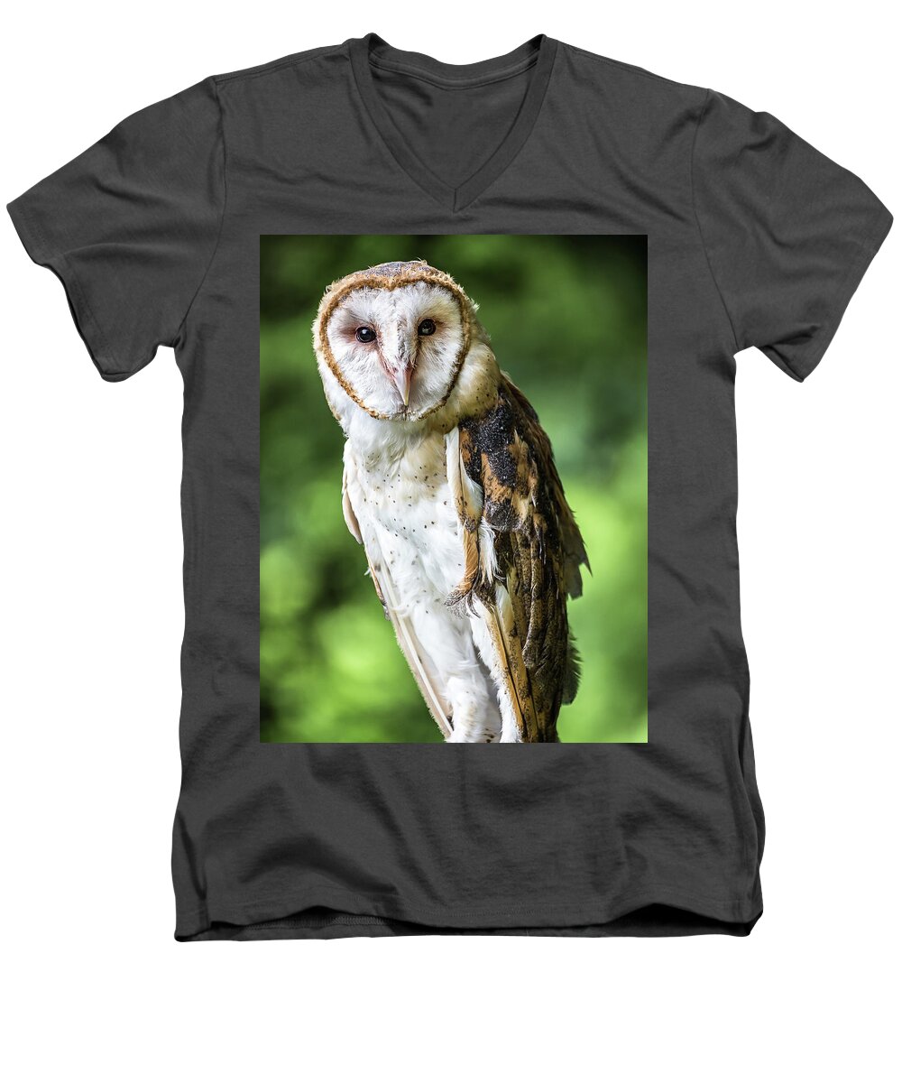 Raptors Owl Barn Owl Men's V-Neck T-Shirt featuring the photograph Barn owl by Robert Miller
