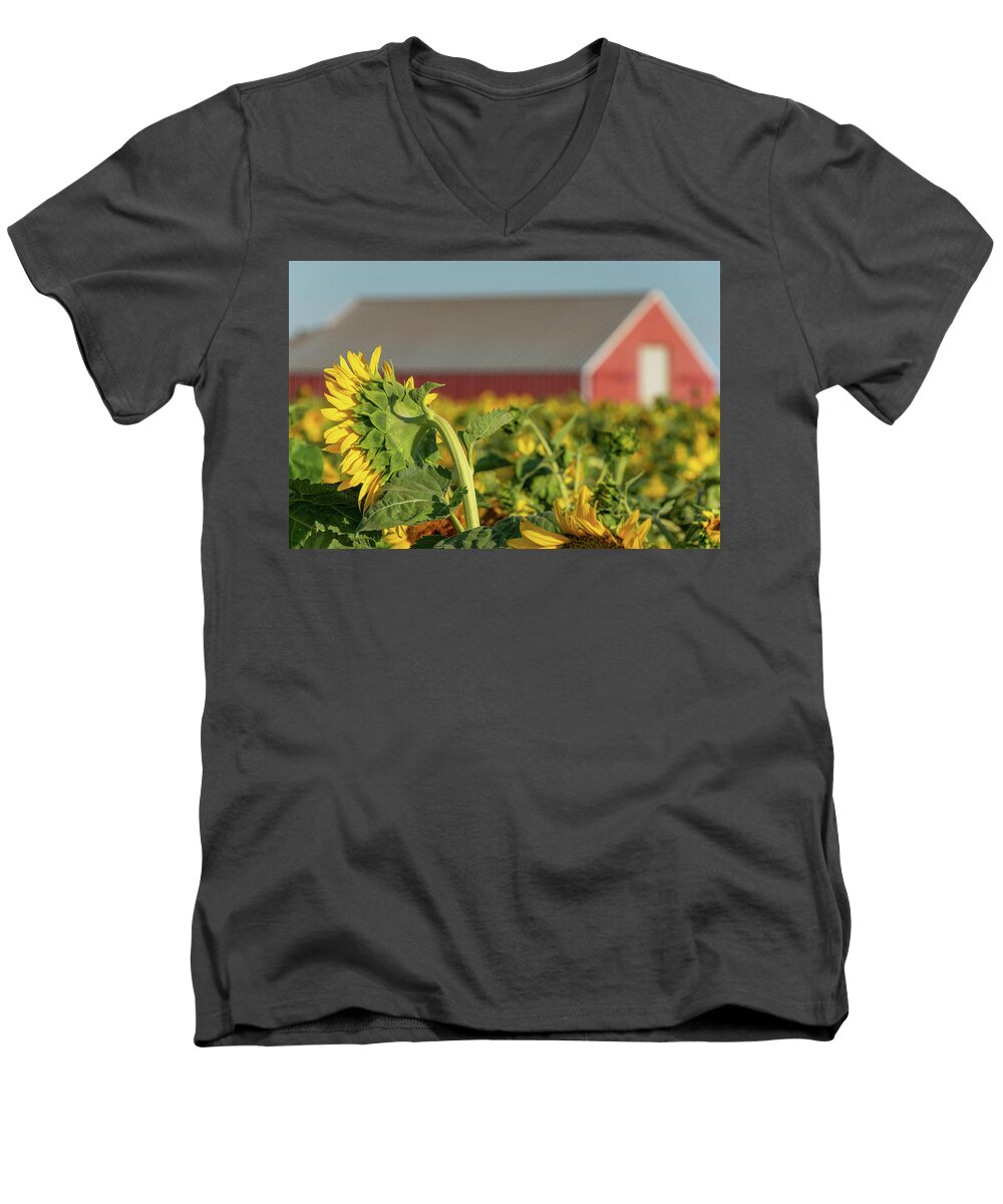 Flowers Men's V-Neck T-Shirt featuring the photograph Before the Harvest by Laura Macky