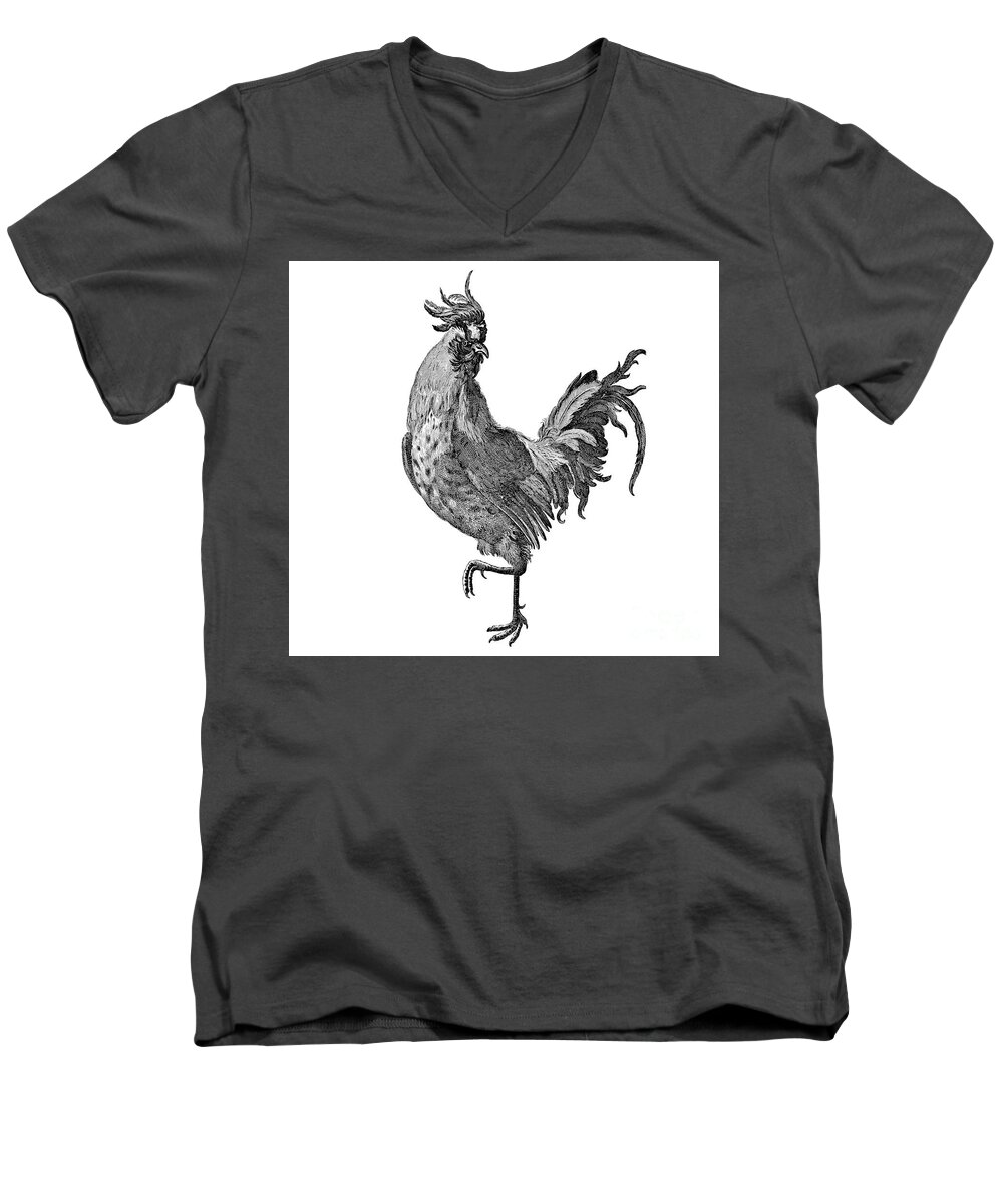 Black And White Men's V-Neck T-Shirt featuring the mixed media Black And White Rooster by Tina LeCour