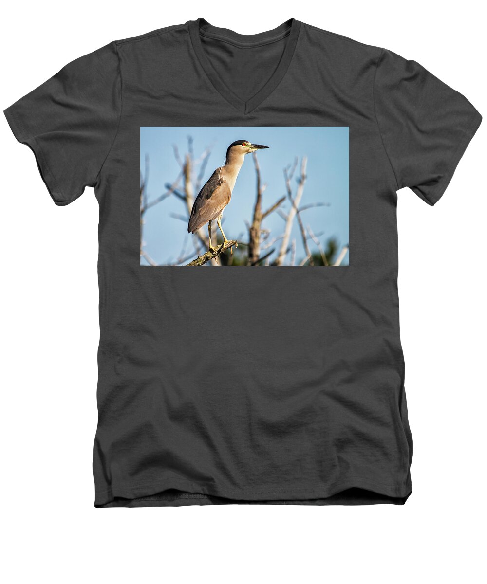 Heron Men's V-Neck T-Shirt featuring the photograph Black Capped Night Heron by Bob Decker
