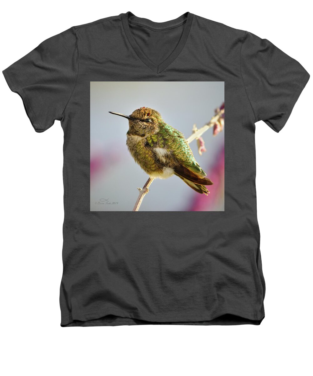 Anna's Men's V-Neck T-Shirt featuring the photograph Busy Hummingbird Takes a Rest by Brian Tada