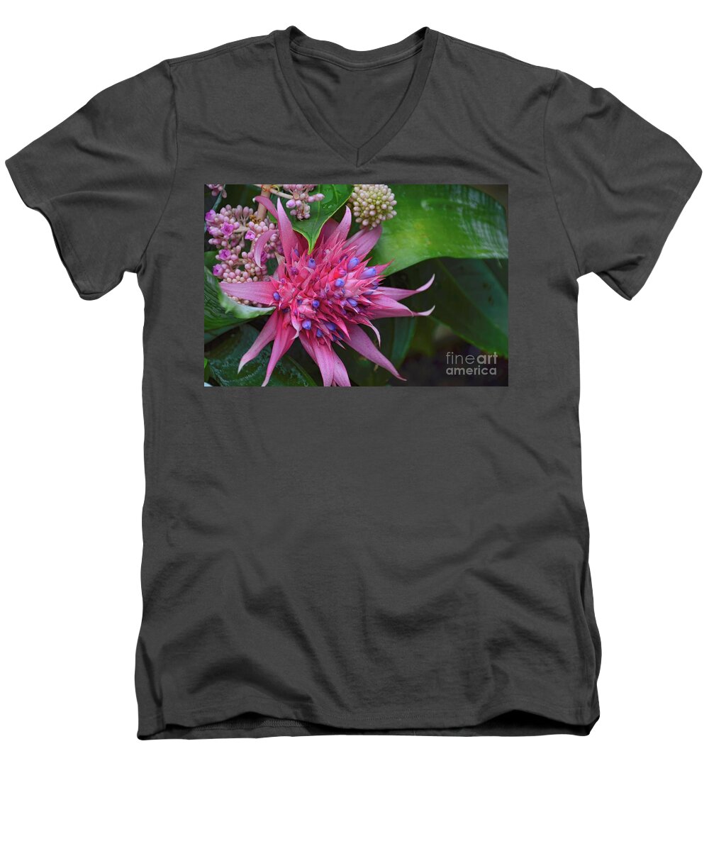 Cactus Men's V-Neck T-Shirt featuring the photograph Cactus Bloom by Diana Mary Sharpton