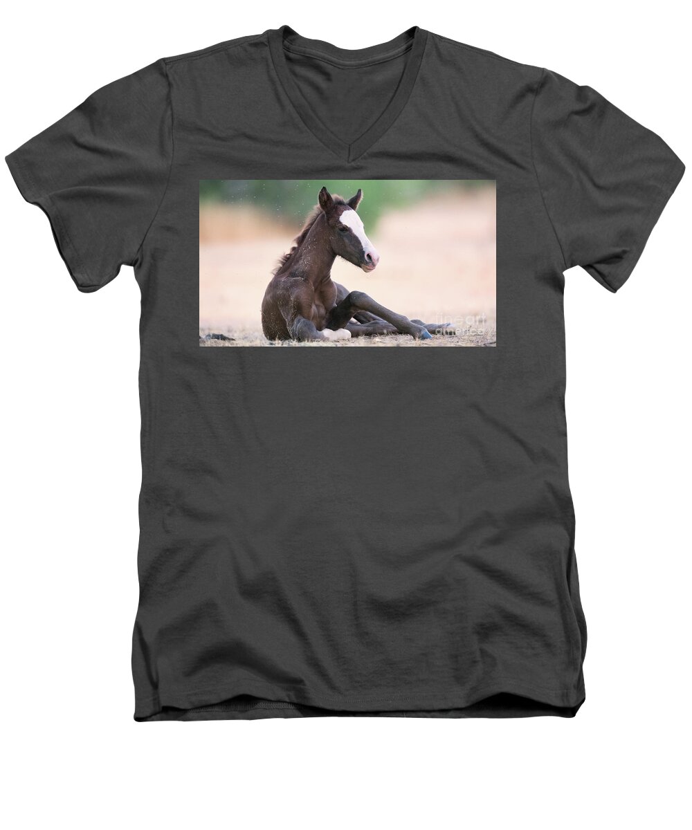 Cute Foal Men's V-Neck T-Shirt featuring the photograph Cactus Fire by Shannon Hastings