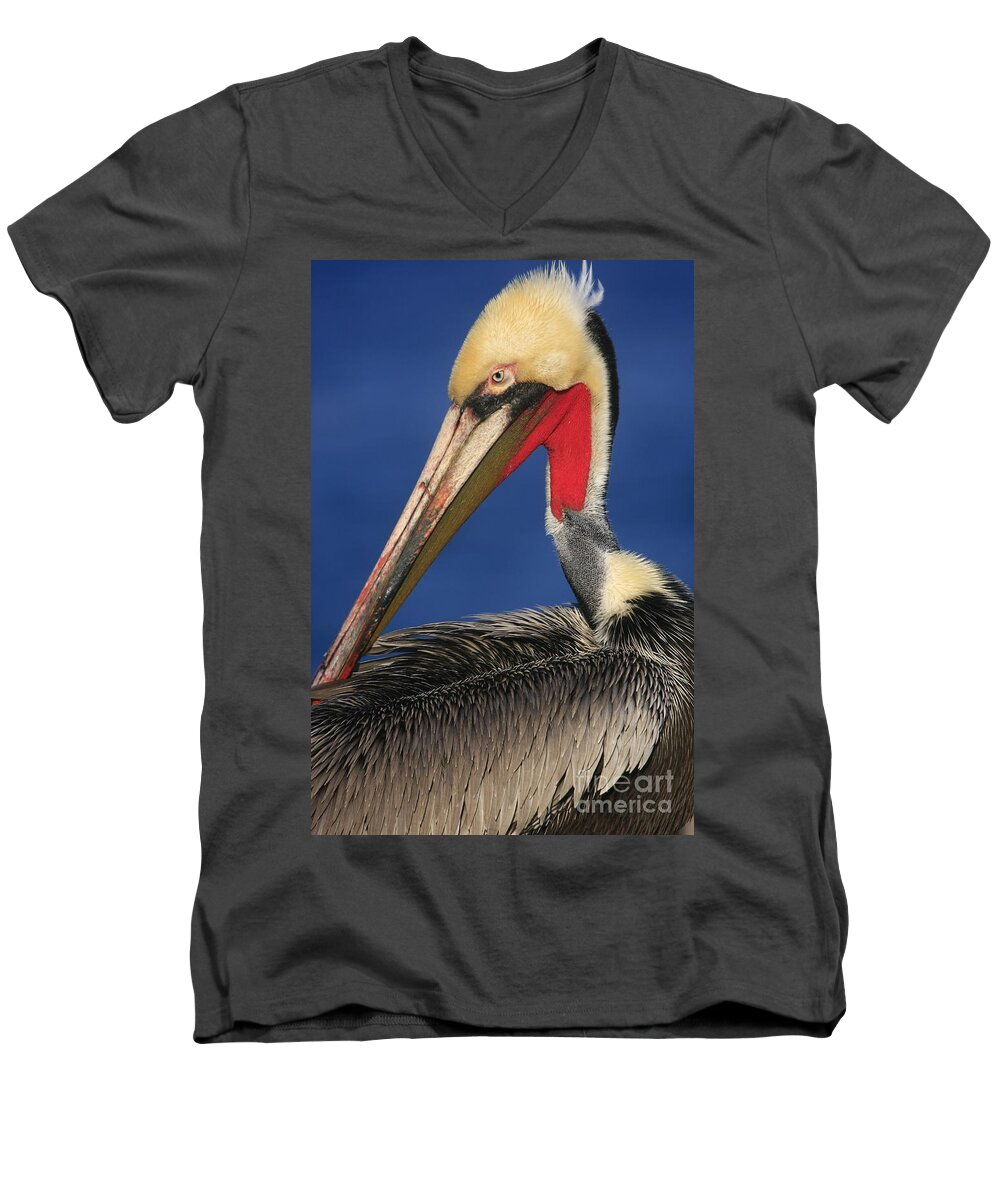 Birds Men's V-Neck T-Shirt featuring the photograph California Brown Pelican Focus by John F Tsumas
