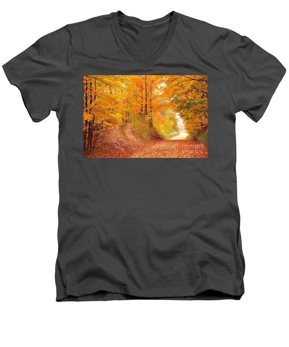 Autumn Men's V-Neck T-Shirt featuring the photograph The Road Less Taken by Terri Gostola