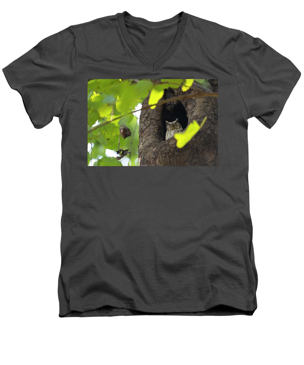 Asian Men's V-Neck T-Shirt featuring the photograph Collared scoops owls by Kiran Joshi