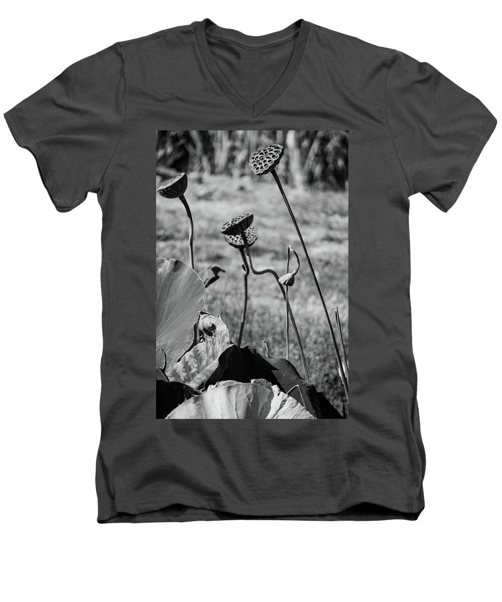 Nature Men's V-Neck T-Shirt featuring the photograph Color me gone by Stewart Helberg