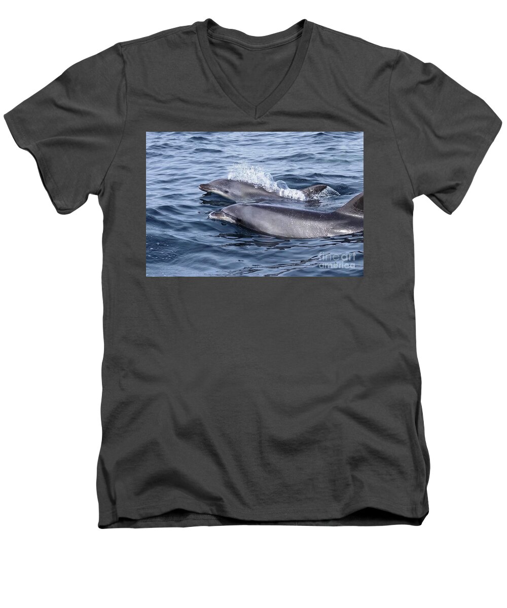 Men's V-Neck T-Shirt featuring the photograph Common Dolphin Friends by Loriannah Hespe