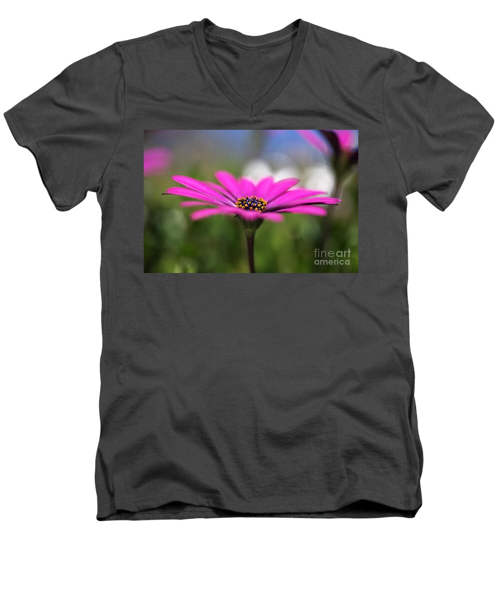 Osteospermum Men's V-Neck T-Shirt featuring the photograph Daisy Dream by Joy Watson