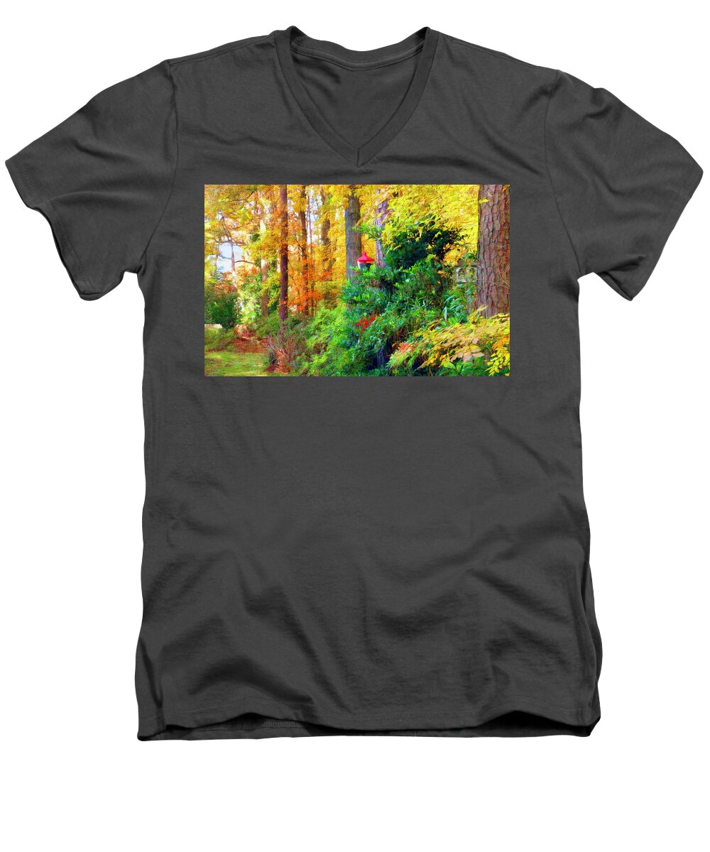 Seasonal Men's V-Neck T-Shirt featuring the photograph Delightful Autumn by Ola Allen