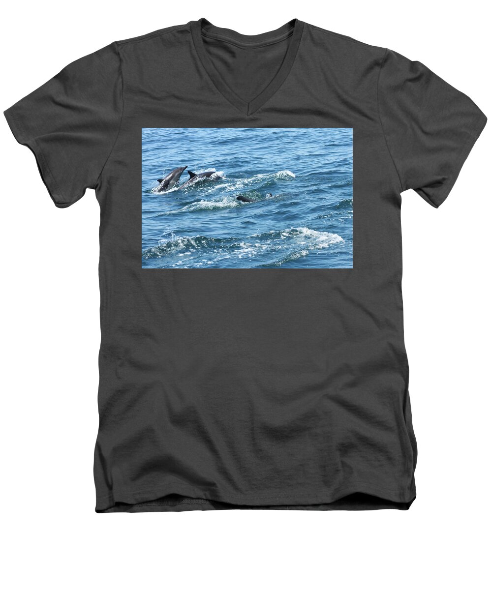 Dolphins Men's V-Neck T-Shirt featuring the photograph Dolphin 2 by Robert Hebert