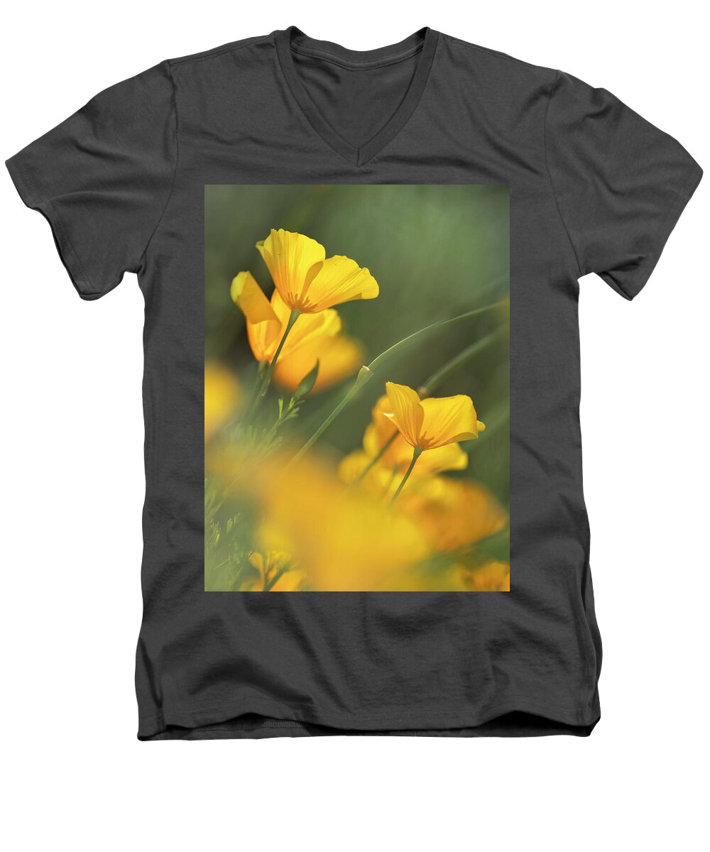 Yellow Poppies Men's V-Neck T-Shirt featuring the photograph Dreaming of Spring by Sue Cullumber