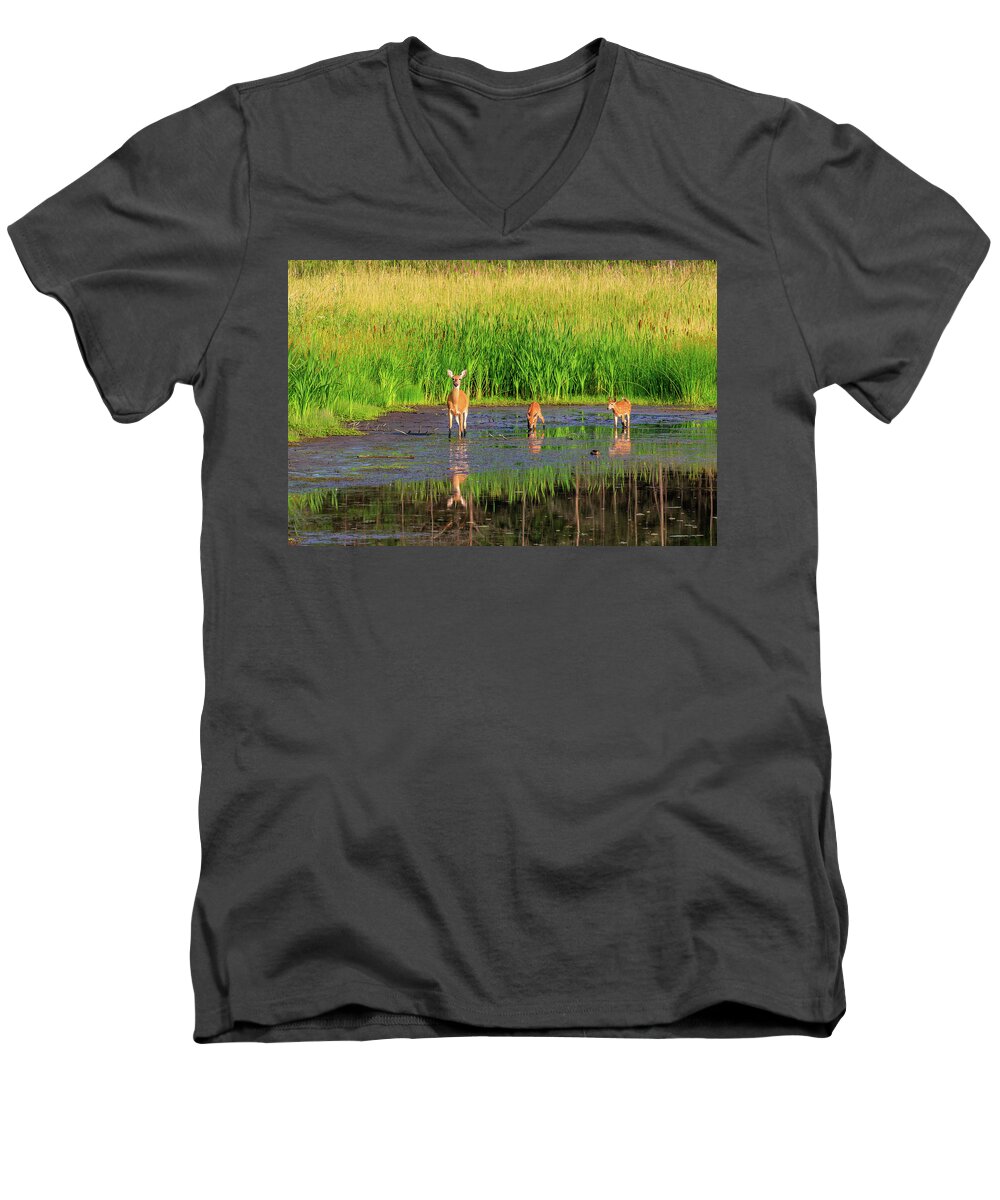 Ontario Men's V-Neck T-Shirt featuring the photograph Early Morning Refreshment Break by Gary Hall