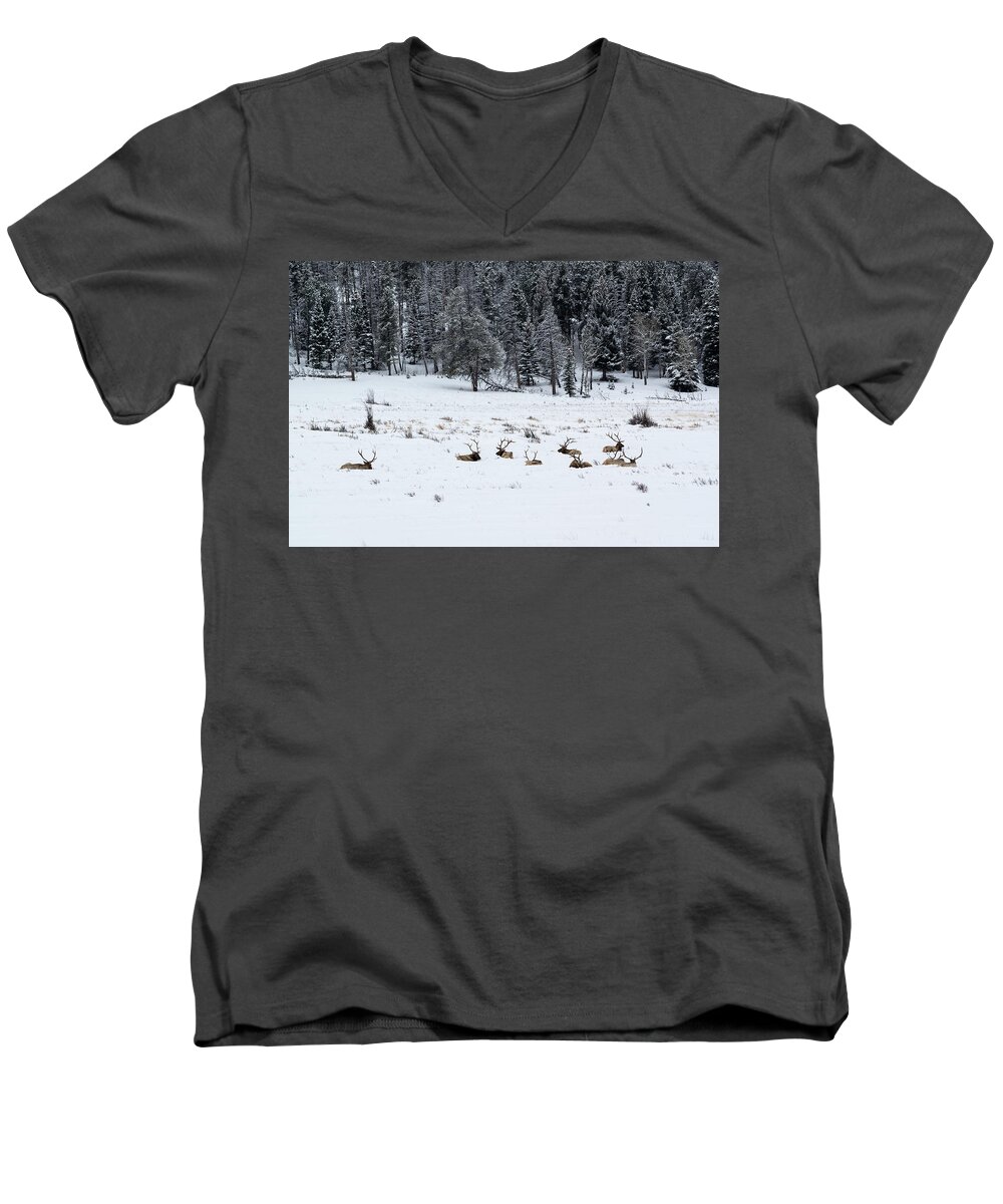 Elk Men's V-Neck T-Shirt featuring the photograph Elk - 9134 by Jerry Owens