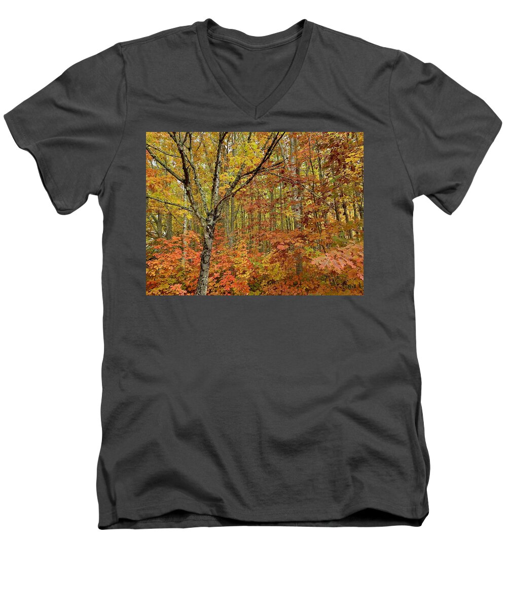 Forest Men's V-Neck T-Shirt featuring the photograph Fall Forest by Brian Eberly
