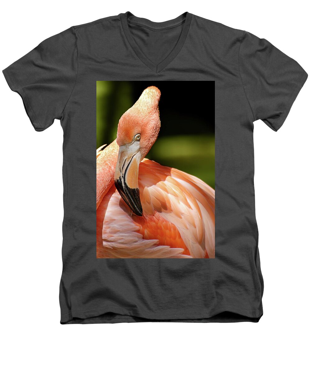 Pink Flamingo Men's V-Neck T-Shirt featuring the photograph Flamingo Siesta by Jill Love