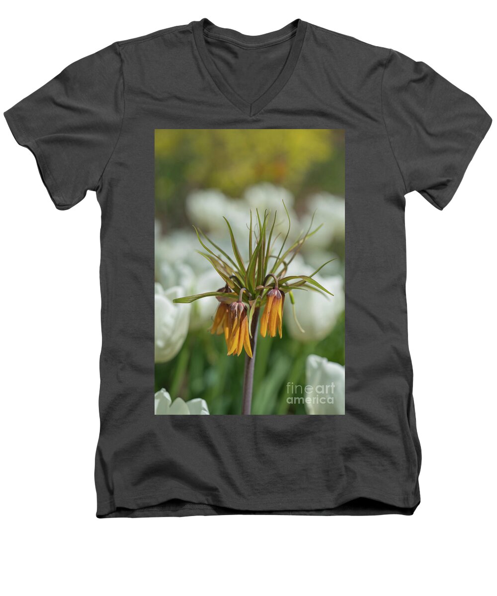 Tulip Men's V-Neck T-Shirt featuring the photograph Flower by Cathy Donohoue