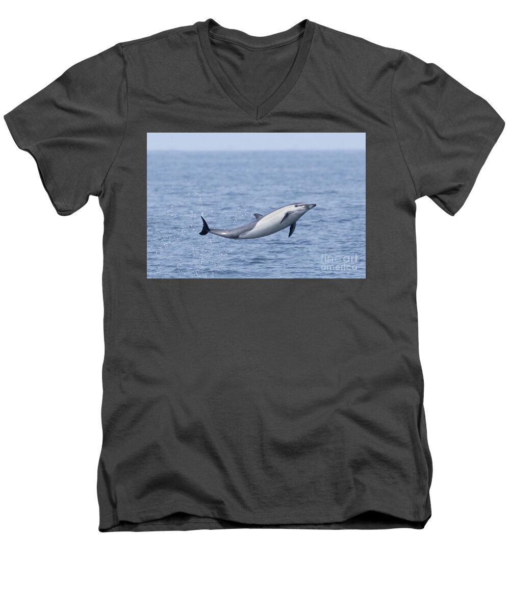 Danawharf Men's V-Neck T-Shirt featuring the photograph Flying Common Dolphin by Loriannah Hespe