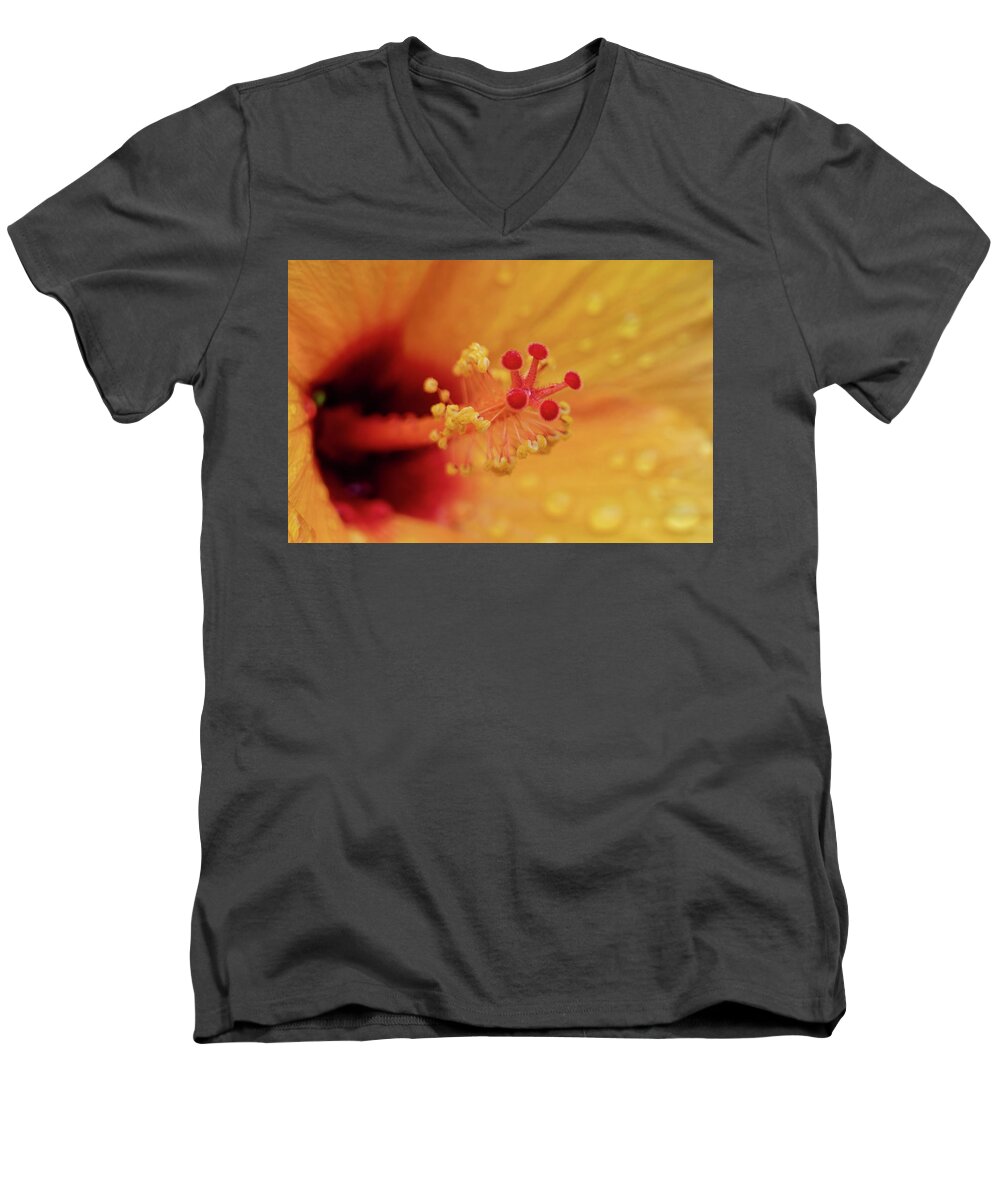 Flowers & Plants Men's V-Neck T-Shirt featuring the photograph Focus on what is important. by Adam Johnson