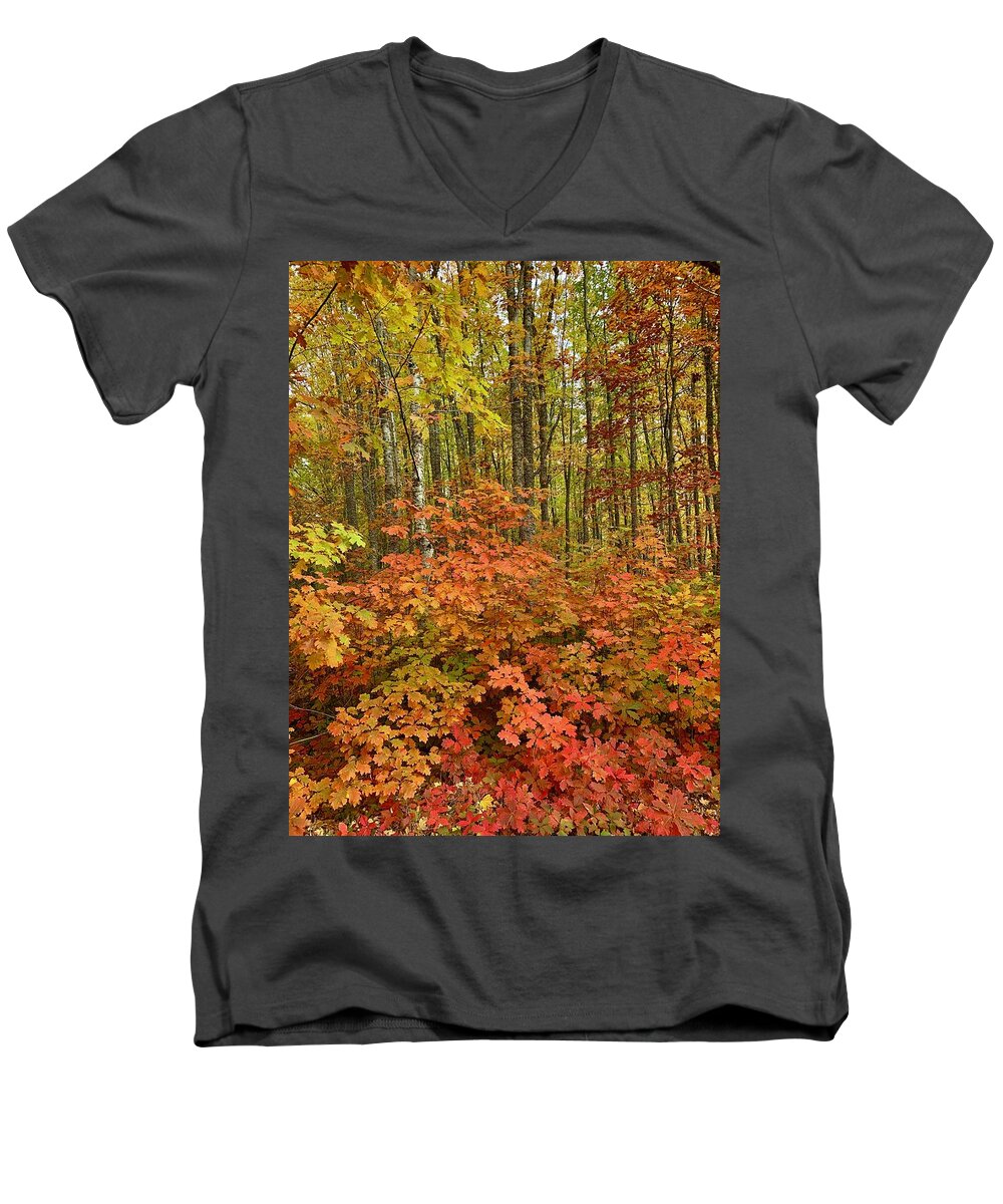 Forest Men's V-Neck T-Shirt featuring the photograph Forest of Color by Brian Eberly