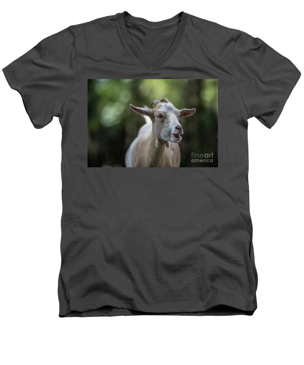 Goat Men's V-Neck T-Shirt featuring the photograph Goat Portrait by Eva Lechner