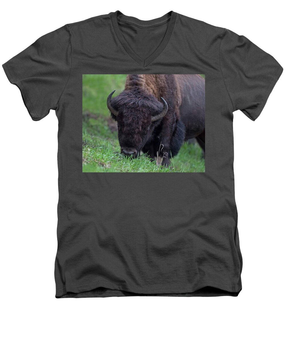 Bison Men's V-Neck T-Shirt featuring the photograph Grass Mower by CR Courson
