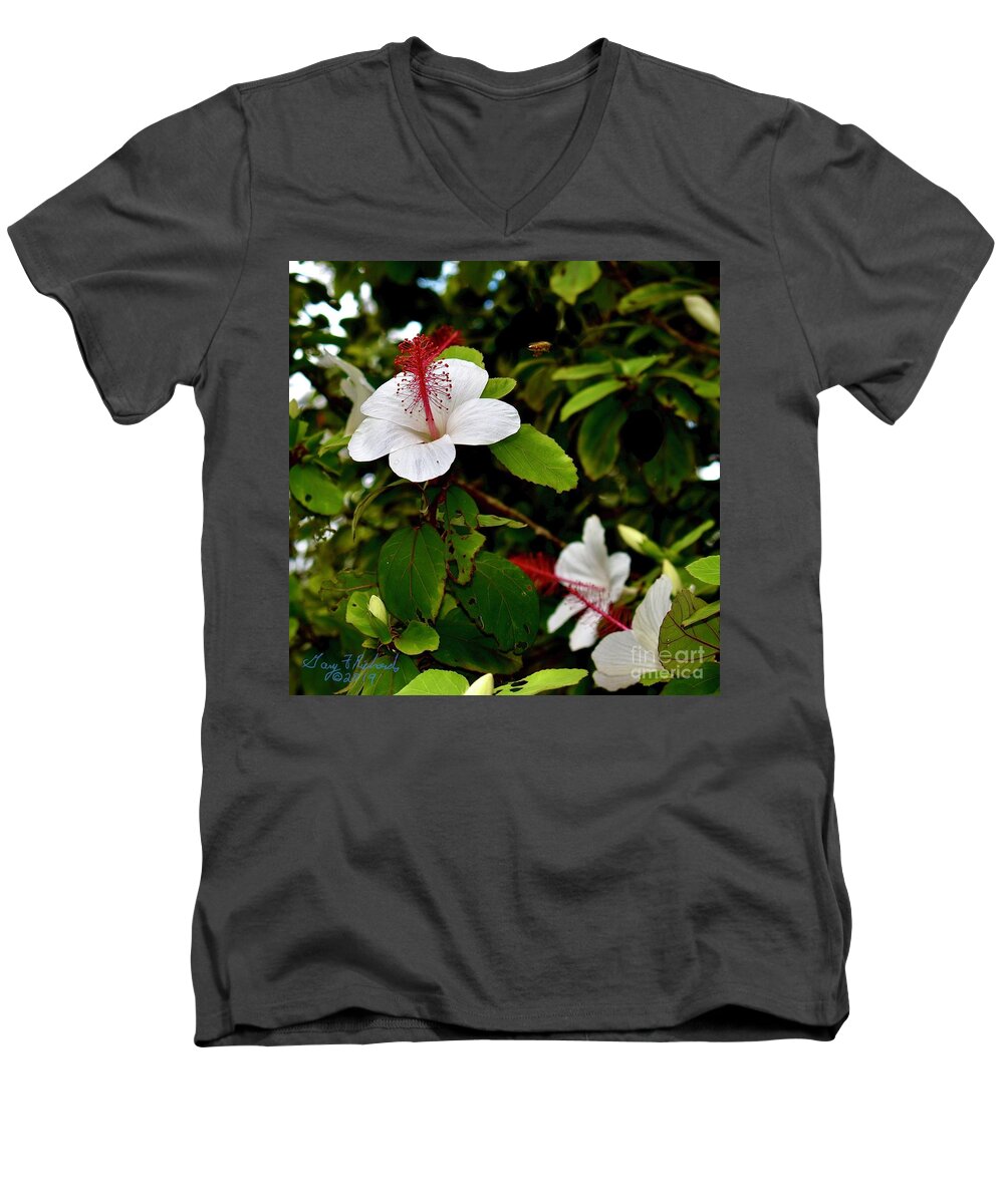 Square Men's V-Neck T-Shirt featuring the photograph Hibiscus and Honey Bee by Gary F Richards