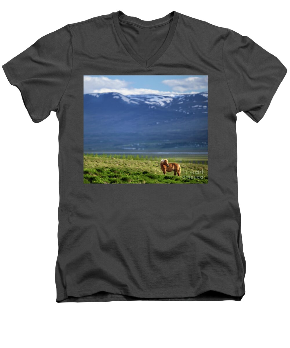 Hofsstadir Ranch Horse Men's V-Neck T-Shirt featuring the photograph Hofsstadir Ranch Horse by Doug Sturgess