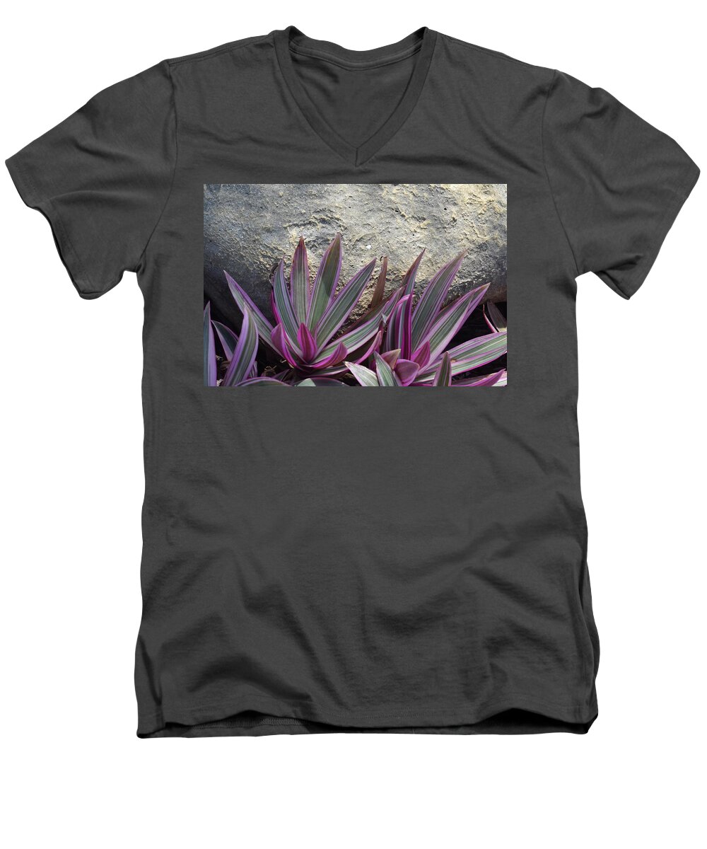 Nature Men's V-Neck T-Shirt featuring the photograph Hollywood Florida Flora 404 by Dick Sauer