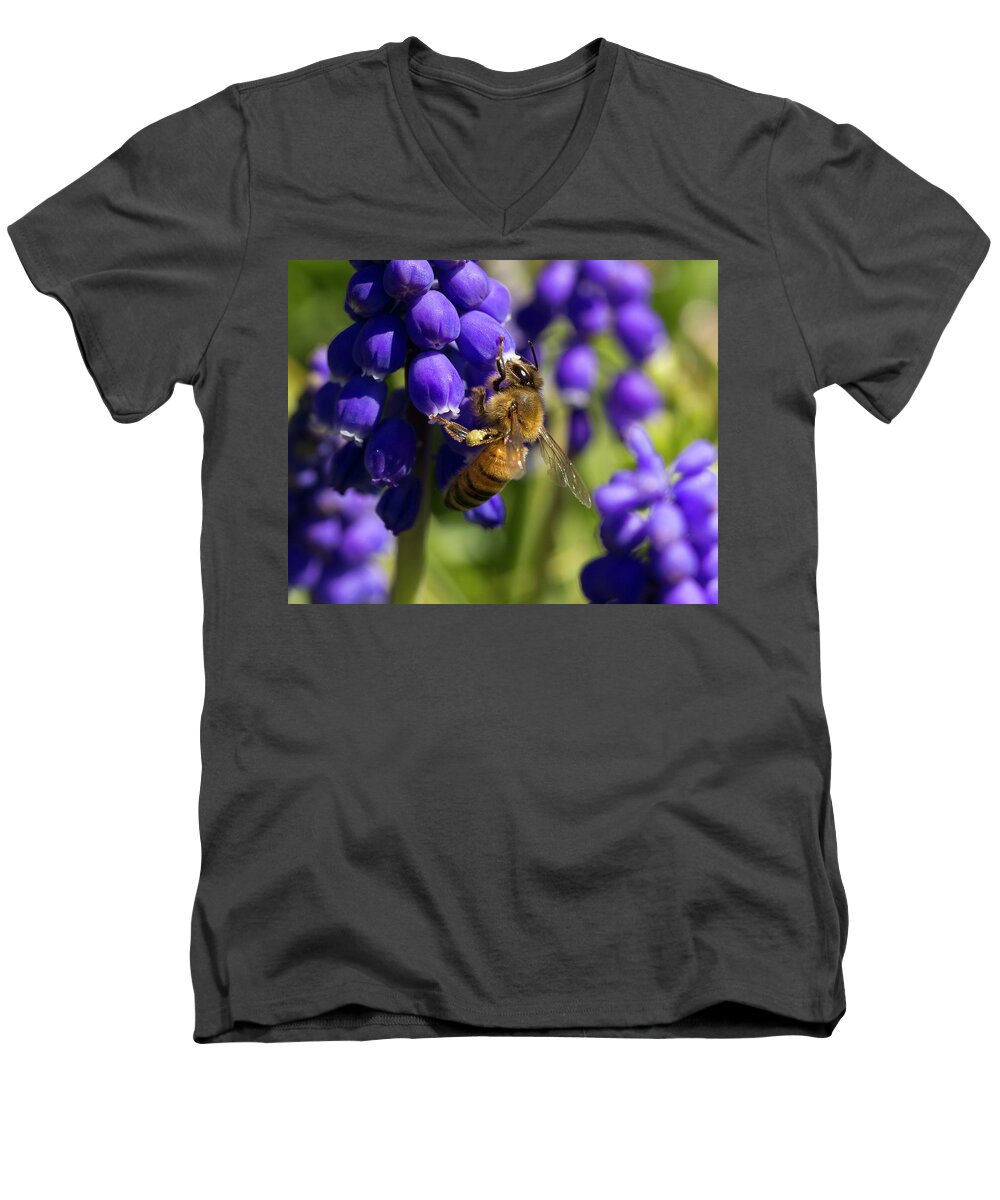 Bee Men's V-Neck T-Shirt featuring the photograph Honey Bee by David Beechum
