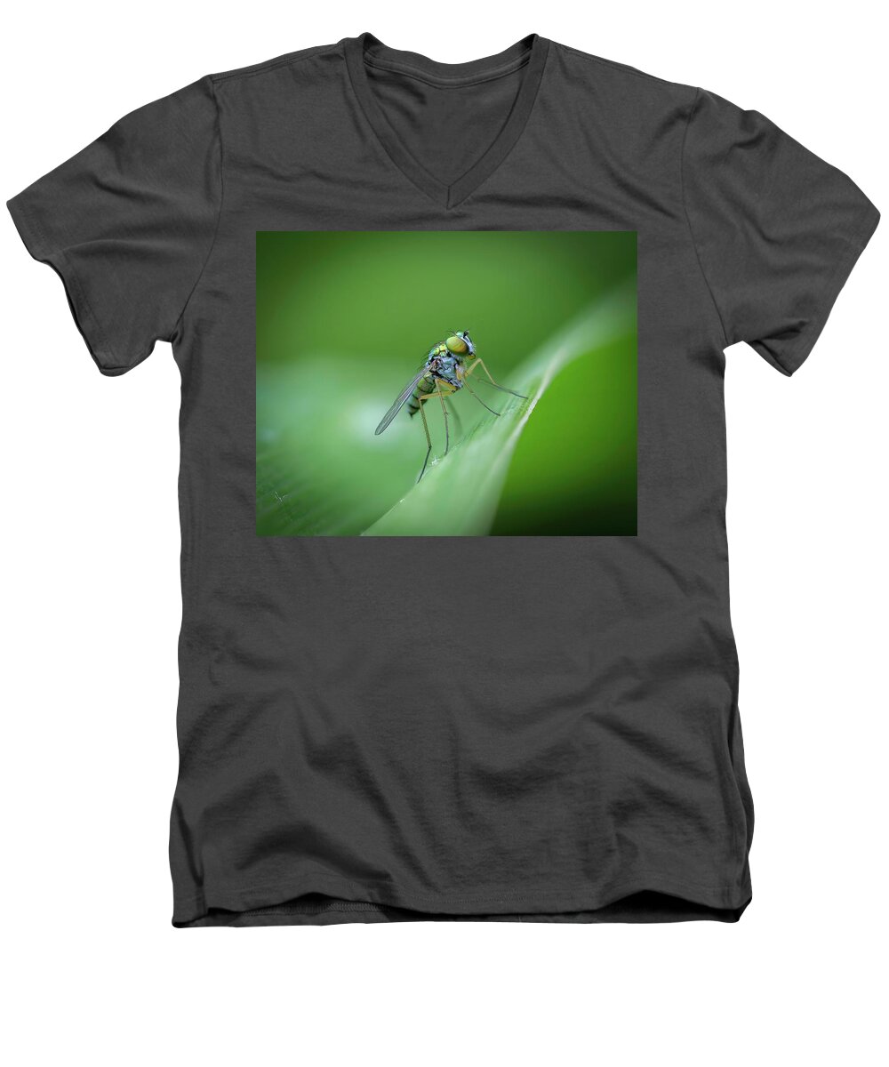 Fly Hover Green Eyes Men's V-Neck T-Shirt featuring the photograph Hover Fly in Green by Timothy Harris