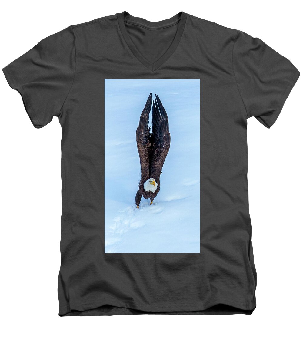 Eagle Men's V-Neck T-Shirt featuring the photograph Intention by Kevin Dietrich