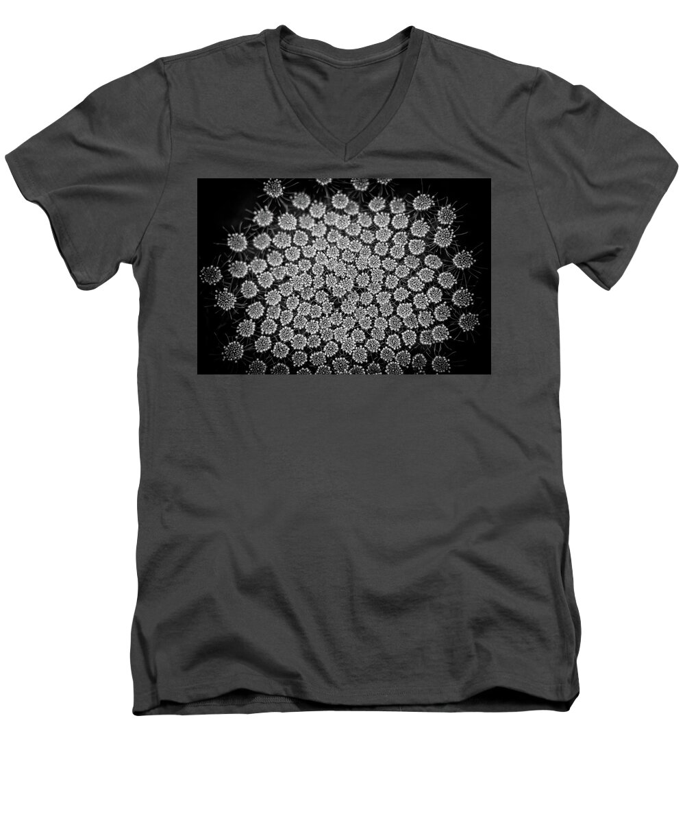 Flower Men's V-Neck T-Shirt featuring the photograph Kaleidoscope by Jason Roberts