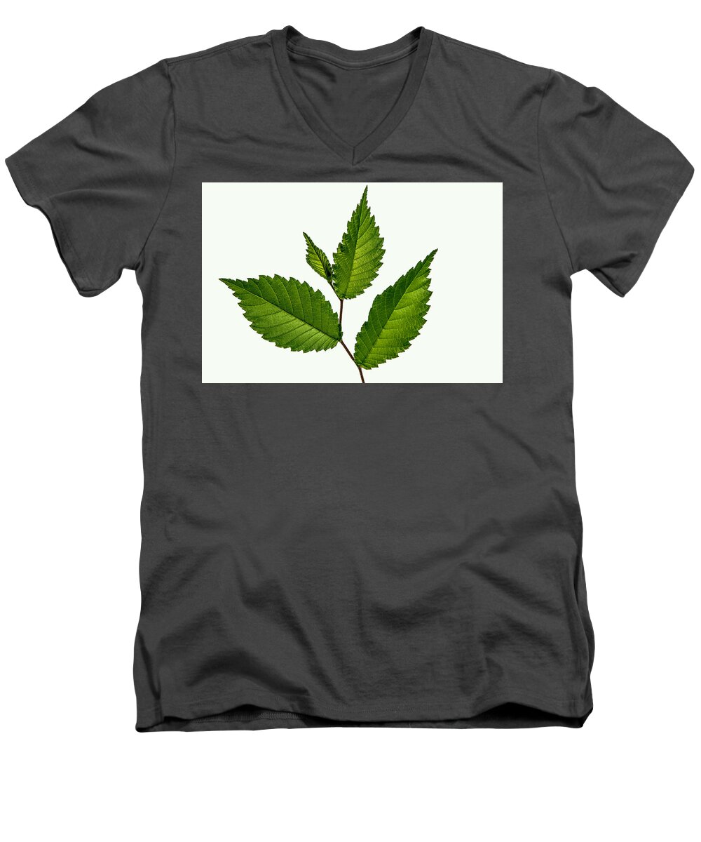 Leaf Men's V-Neck T-Shirt featuring the photograph Leaf Patterns by Skip Tribby