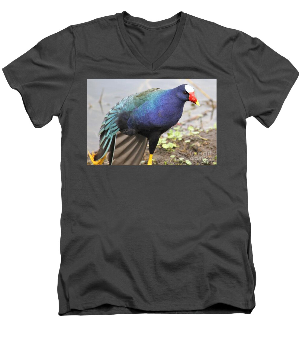  Men's V-Neck T-Shirt featuring the photograph Lets Dance by Philip And Robbie Bracco