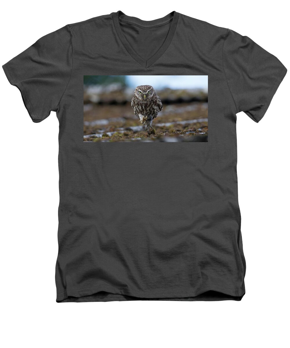 Little Men's V-Neck T-Shirt featuring the photograph Little Owl On The Run by Pete Walkden