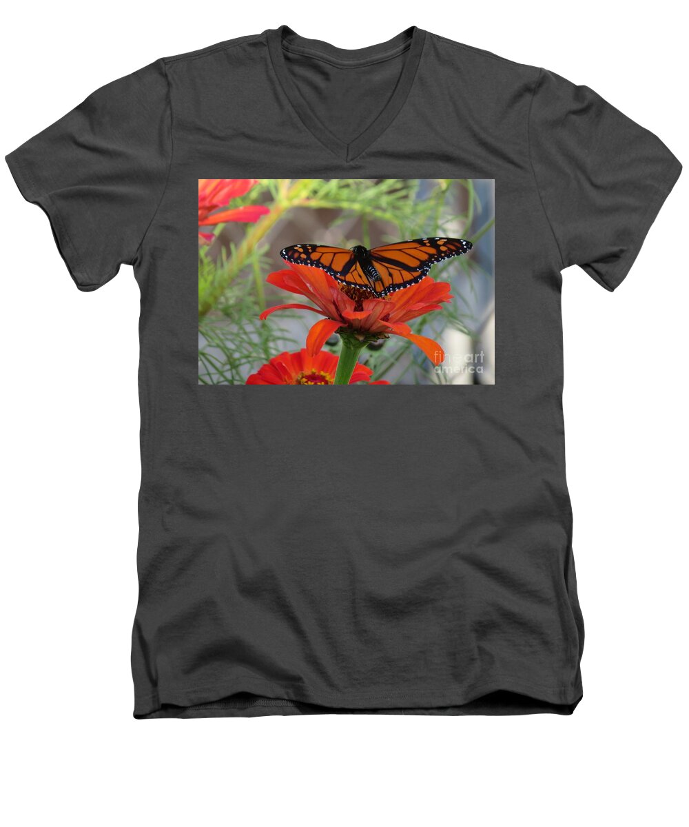 Flowers Men's V-Neck T-Shirt featuring the photograph Monarch Butterfly Spreads Its Wings by Christina Verdgeline