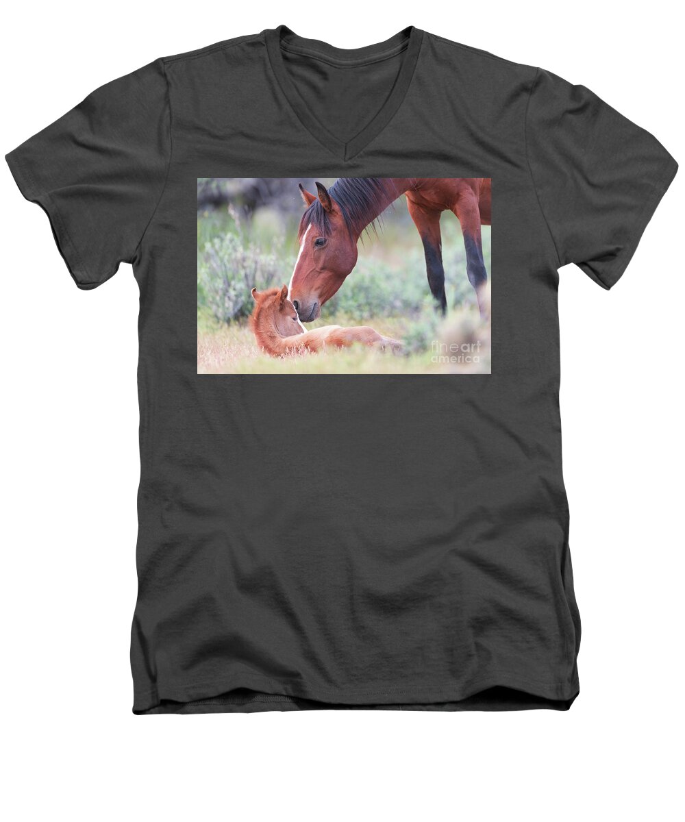 Cute Foal Men's V-Neck T-Shirt featuring the photograph Mother's Love 2 by Shannon Hastings