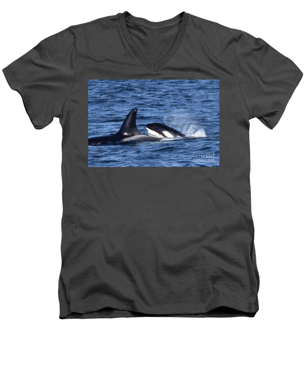  Men's V-Neck T-Shirt featuring the photograph Orca Family by Loriannah Hespe