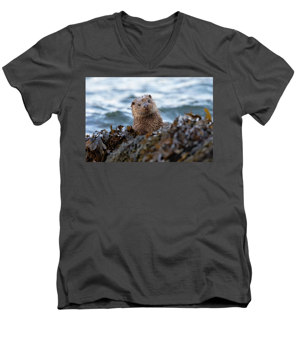 Otter Men's V-Neck T-Shirt featuring the photograph Otter Cub Peekaboo by Pete Walkden